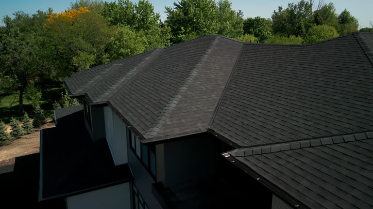 Best Chimney Flashing Repair  in Hansen, ID