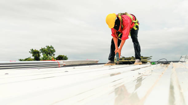 Best Roof Maintenance and Cleaning  in Hansen, ID