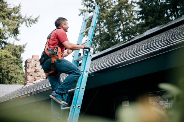 Best Solar Panel Roofing Installation  in Hansen, ID